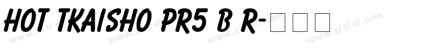 HOT TKaisho Pr5 B R字体转换